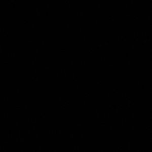 Meet your Posher, Aja